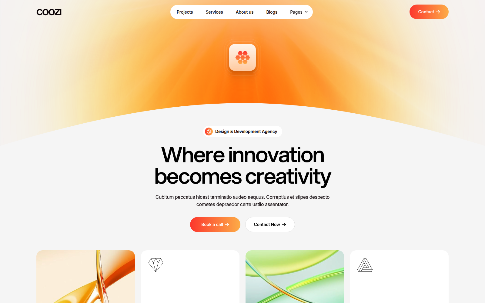 Coozi template — homepage preview