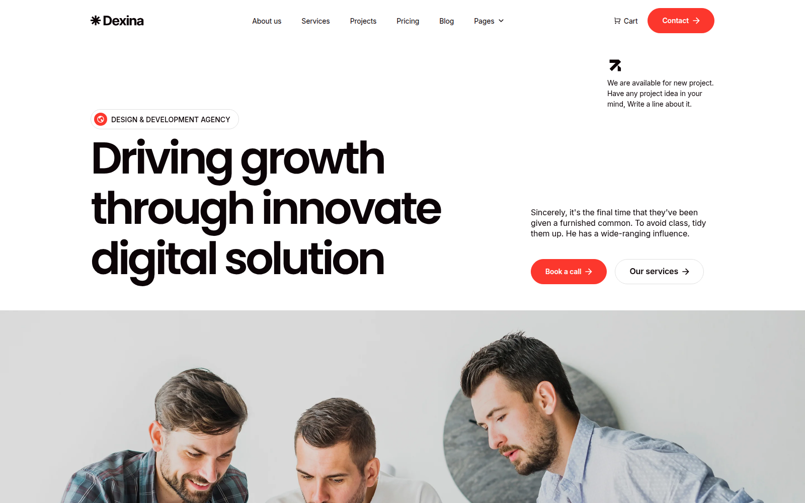 Dexina template — homepage preview