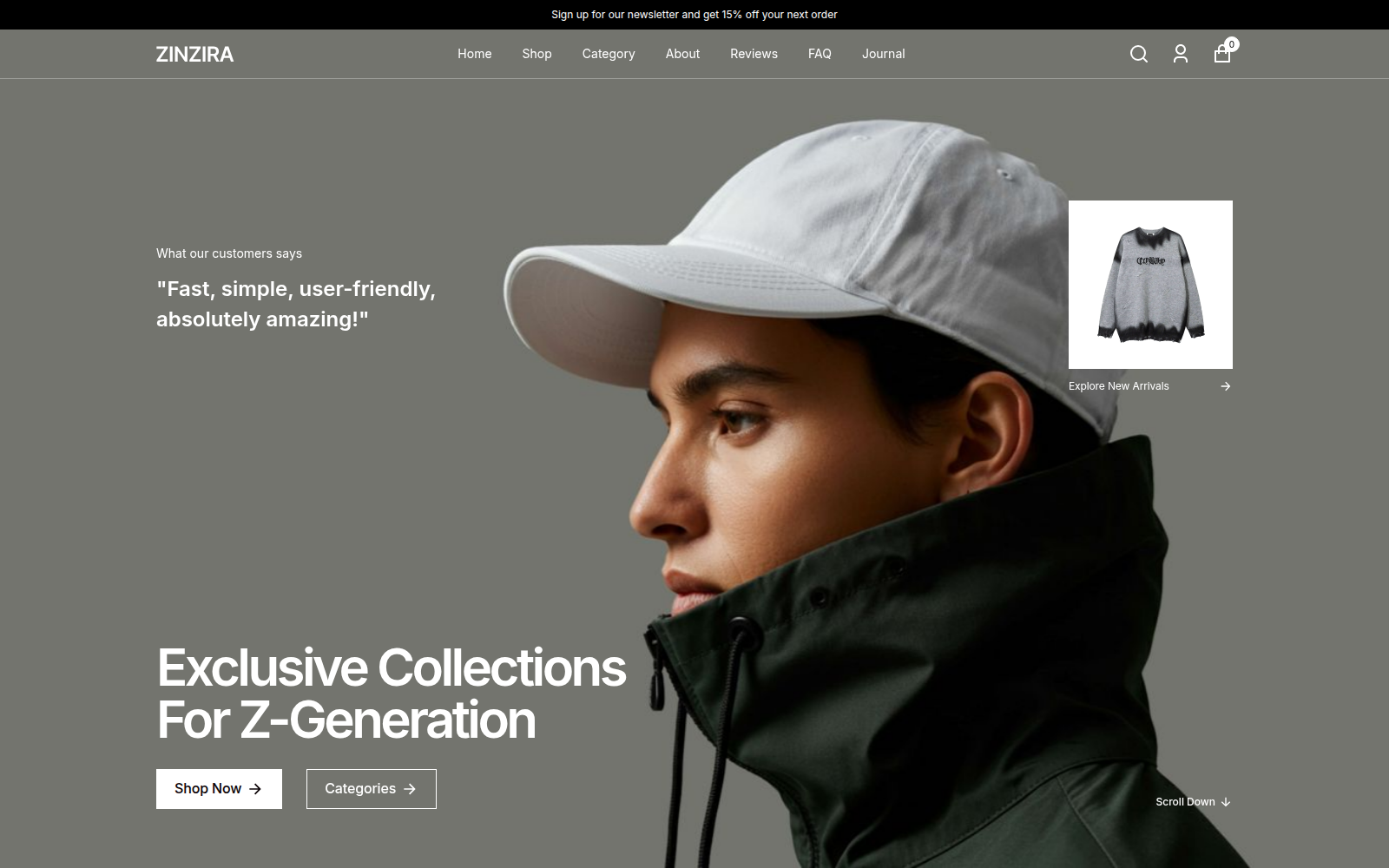 Zinzira template — homepage preview
