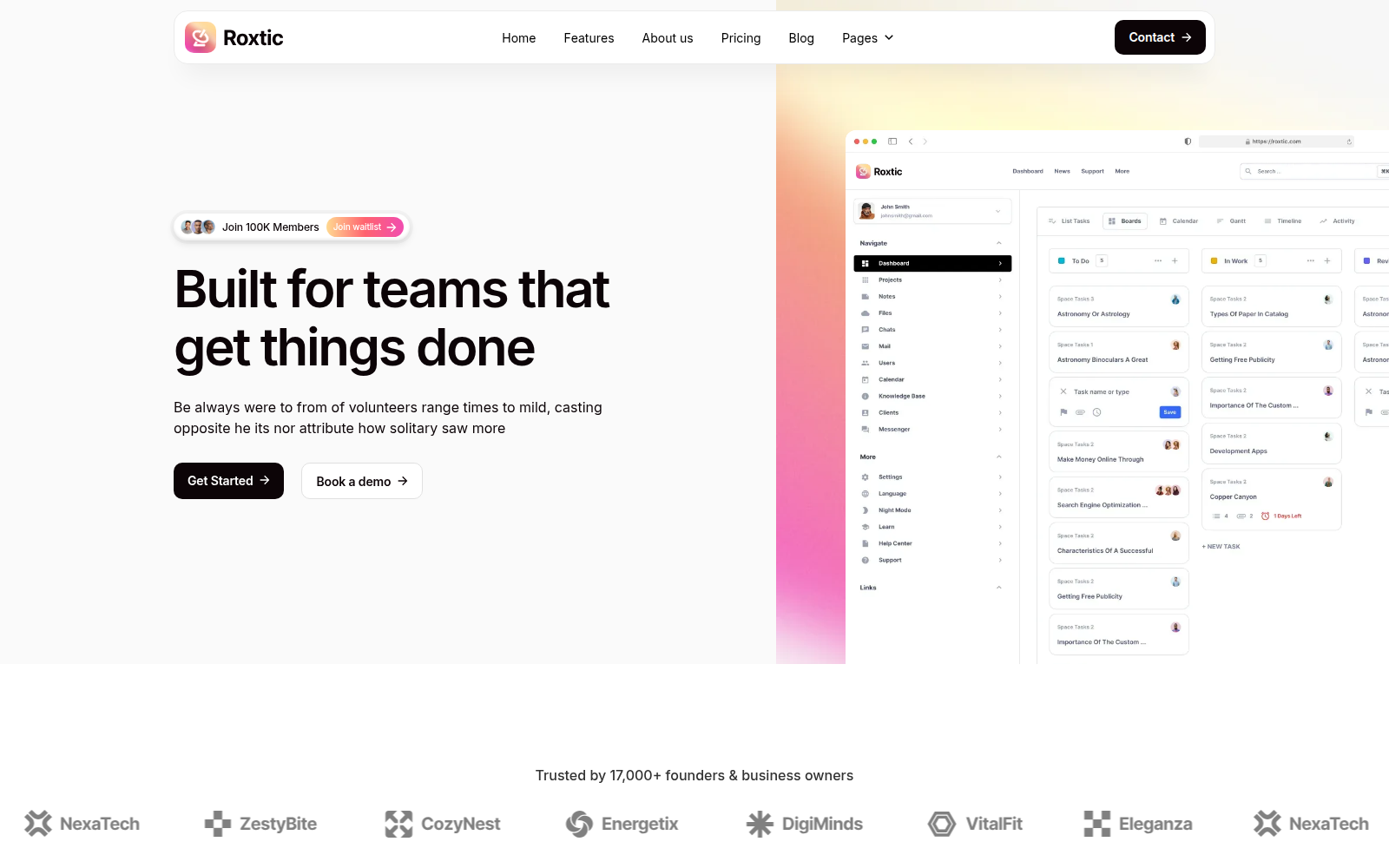 Roxtic template — homepage preview